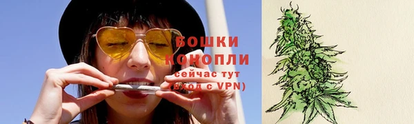 spice Аркадак