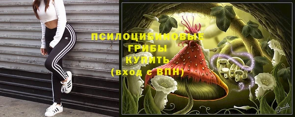 каннабис Арсеньев