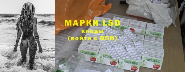 spice Аркадак